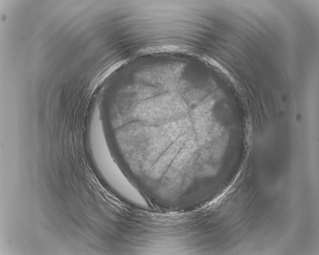 X0000059840921200511181509