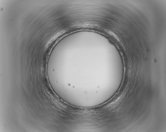 X0000059840922200511181509