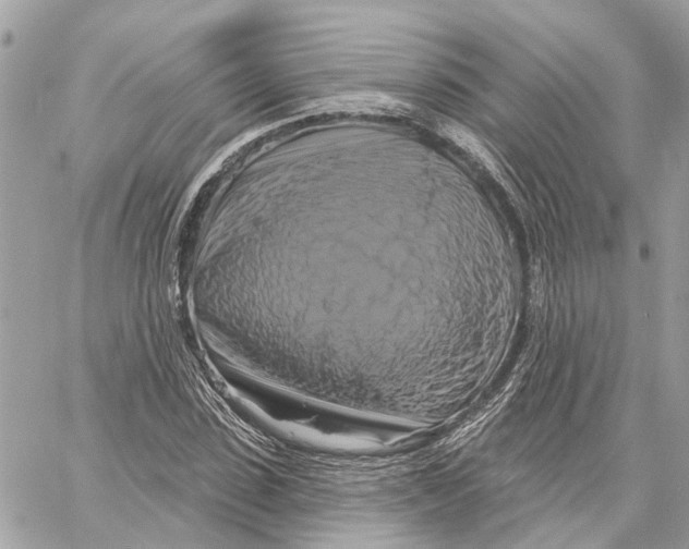 X0000059840923200511181509