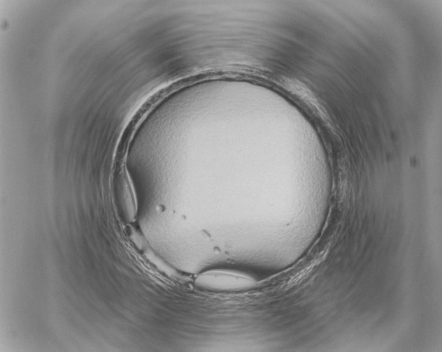 X0000059840924200511181509