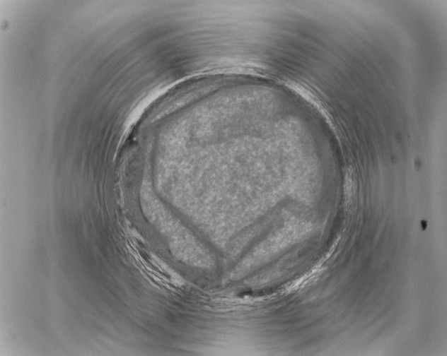 X0000059840925200511181509