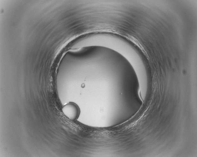 X0000059840926200511181509