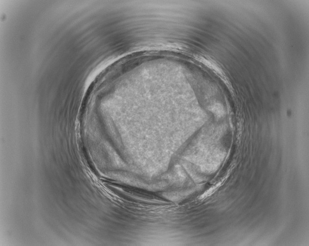 X0000059840928200511181509