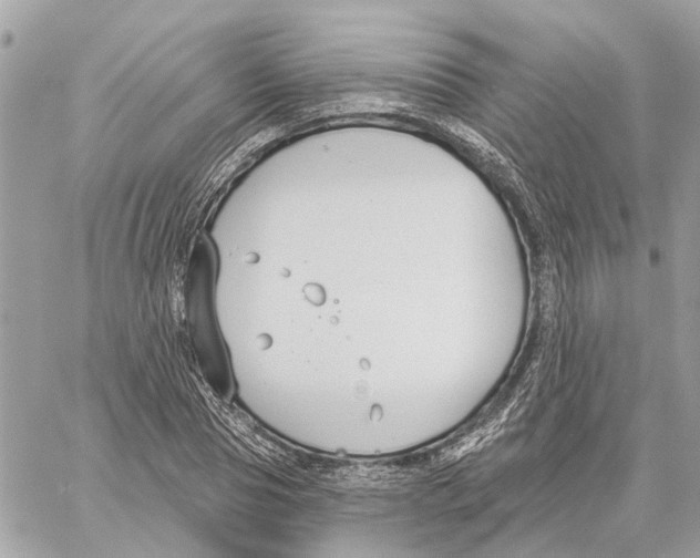 X0000059840929200511181509