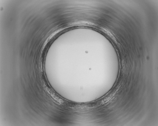 X0000059840931200511181509