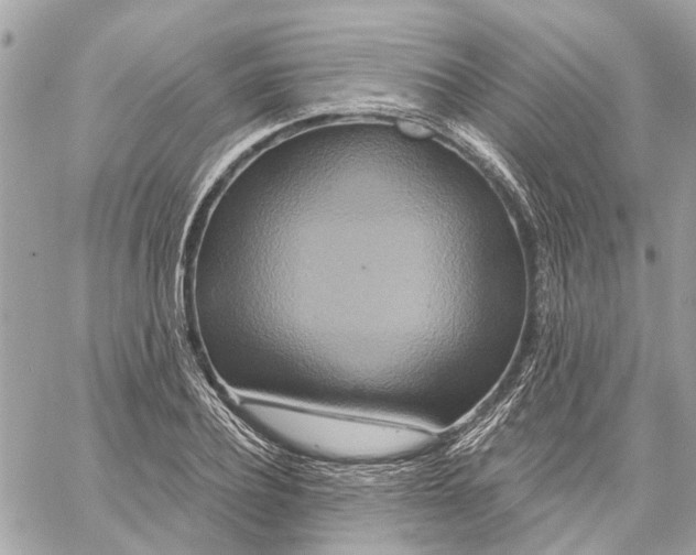 X0000059840932200511181509