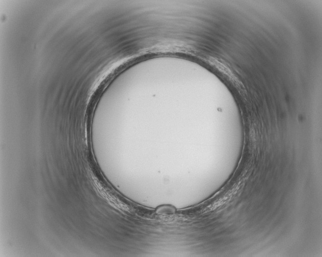 X0000059840934200511181509