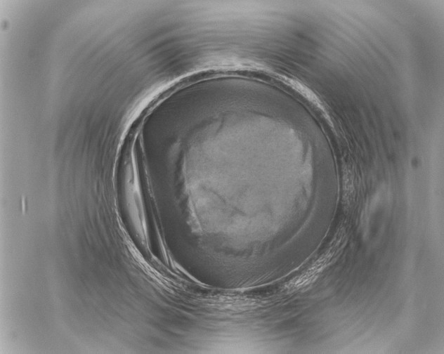 X0000059840935200511181509