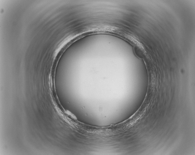 X0000059840936200511181509