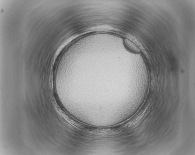 X0000059840939200511181509