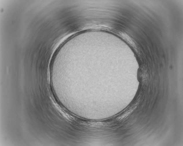 X0000059840940200511181509