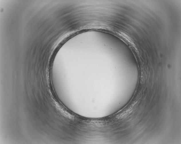 X0000059840942200511181509