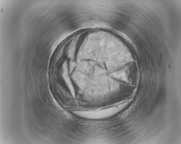 X0000059840943200511181509