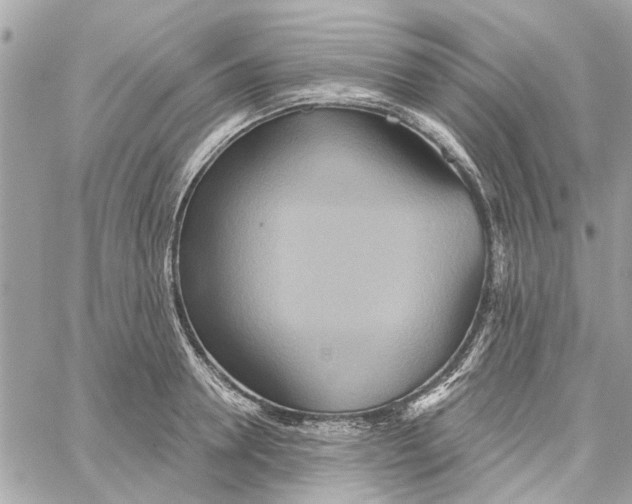 X0000059840946200511181509