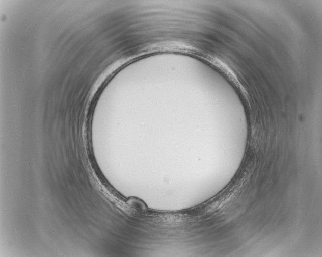 X0000059840947200511181509