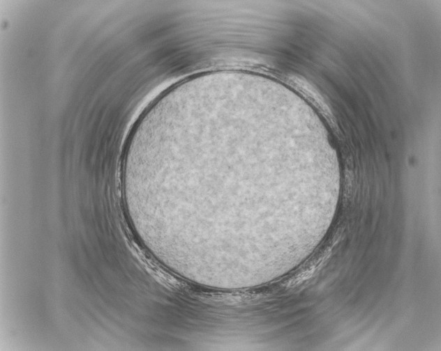 X0000059840948200511181509