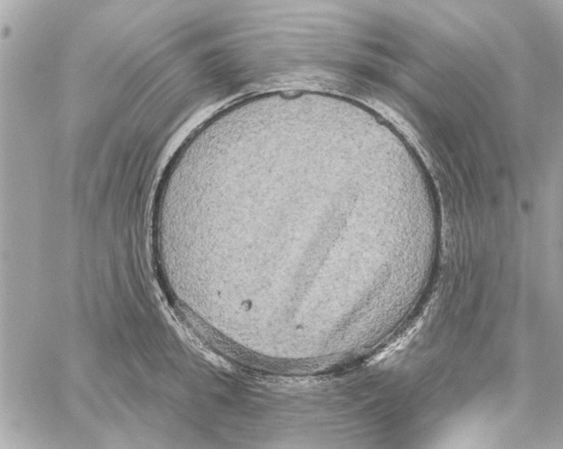 X0000059840949200511181509