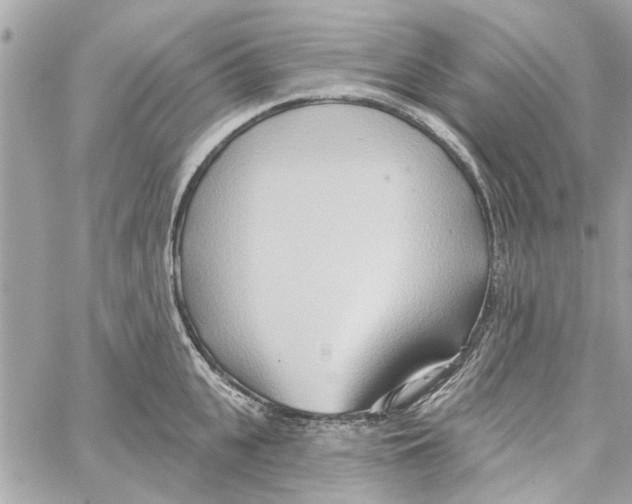 X0000059840951200511181509