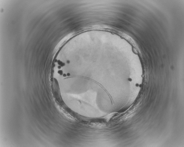 X0000059840954200511181510