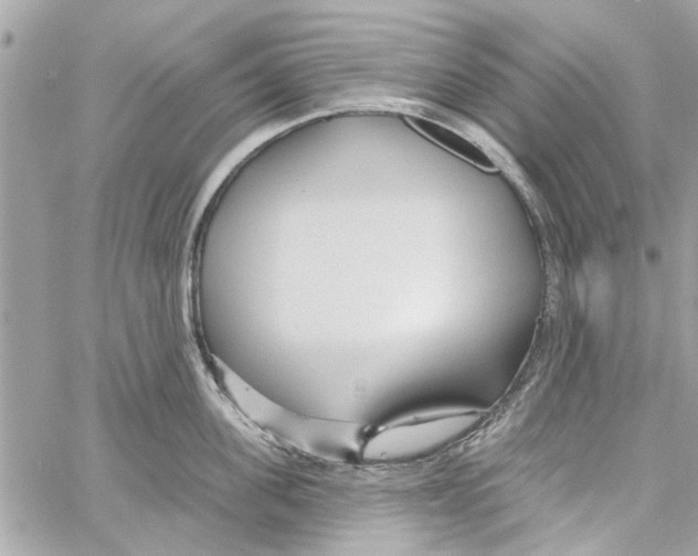 X0000059840955200511181510