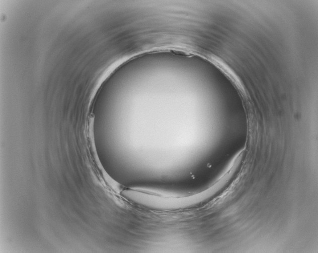 X0000059840956200511181510