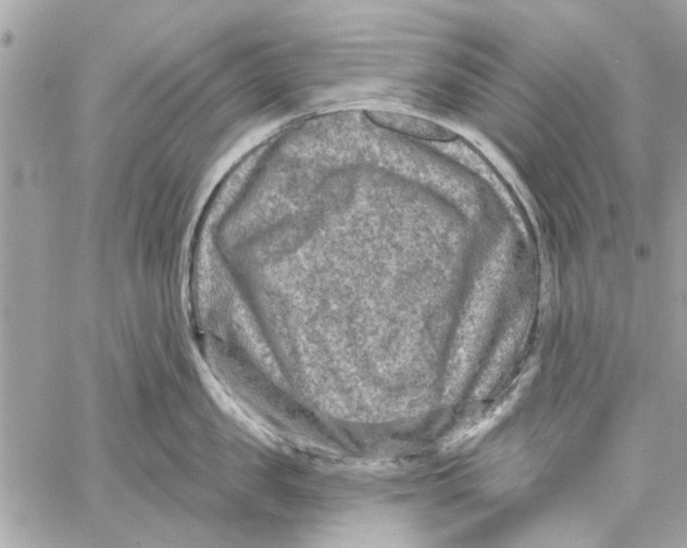 X0000059840957200511181510