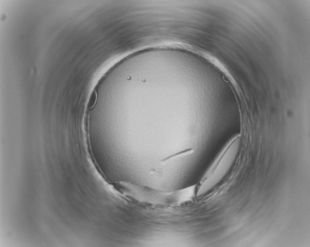 X0000059840959200511181510