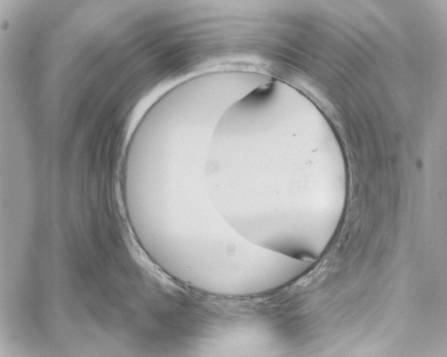 X0000059840960200511181510