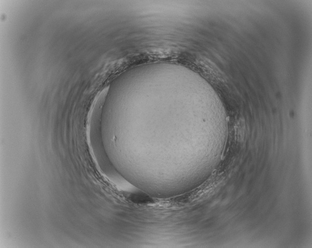 X0000059840961200511181509