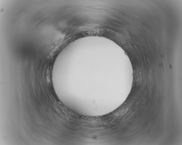 X0000059840962200511181509