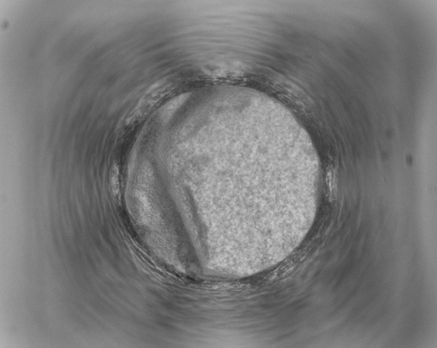 X0000059840963200511181509