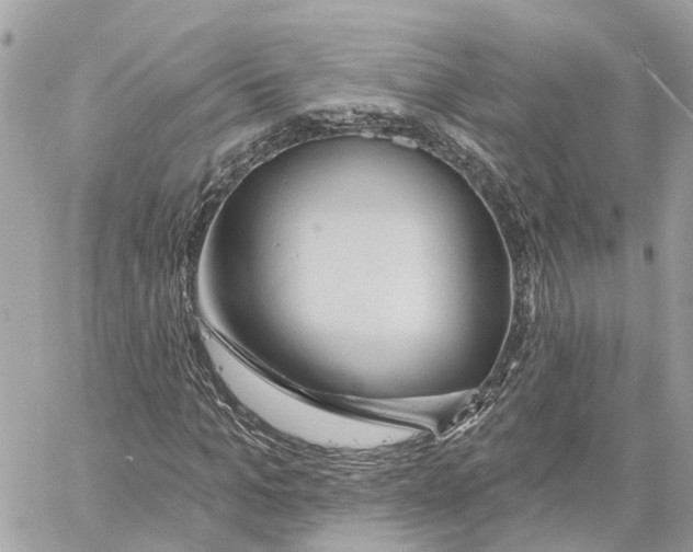 X0000059840965200511181509