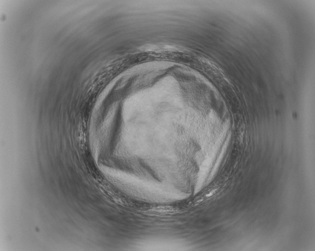 X0000059840966200511181509