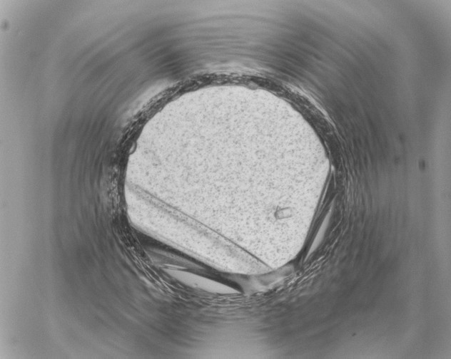 X0000059840968200511181509