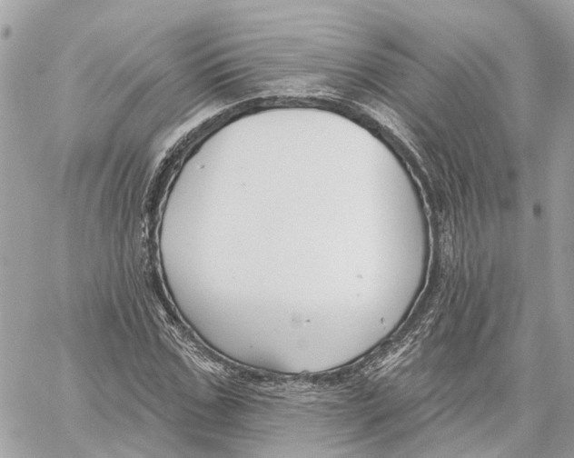 X0000059840971200511181509