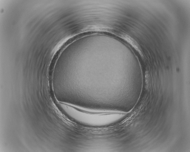 X0000059840972200511181509