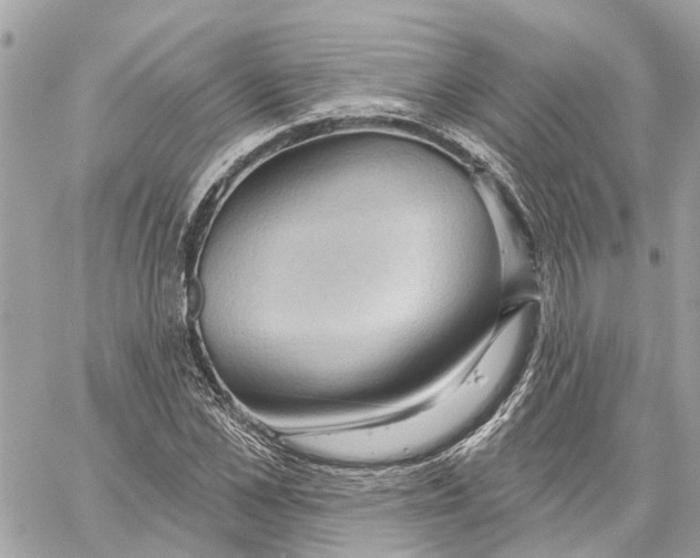 X0000059840973200511181509