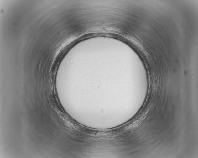 X0000059840974200511181509