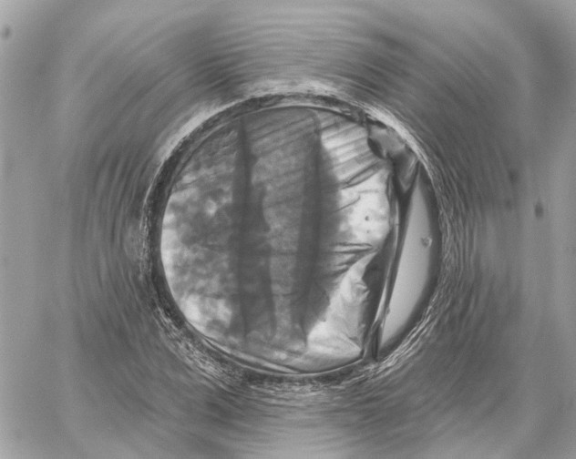 X0000059840975200511181509