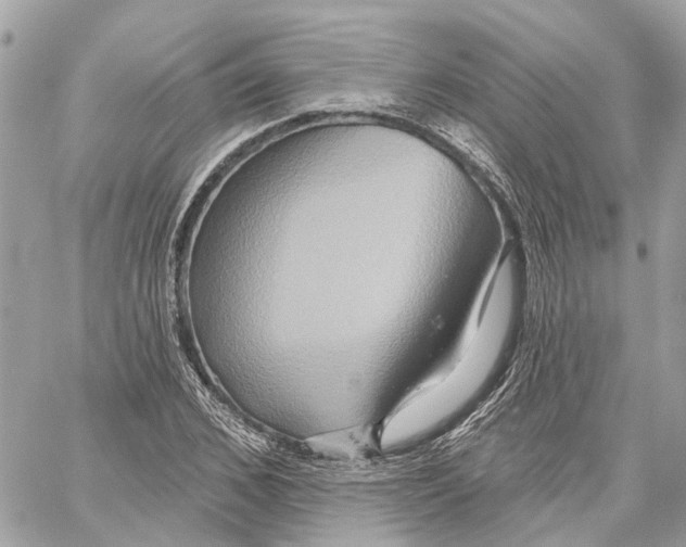 X0000059840976200511181509