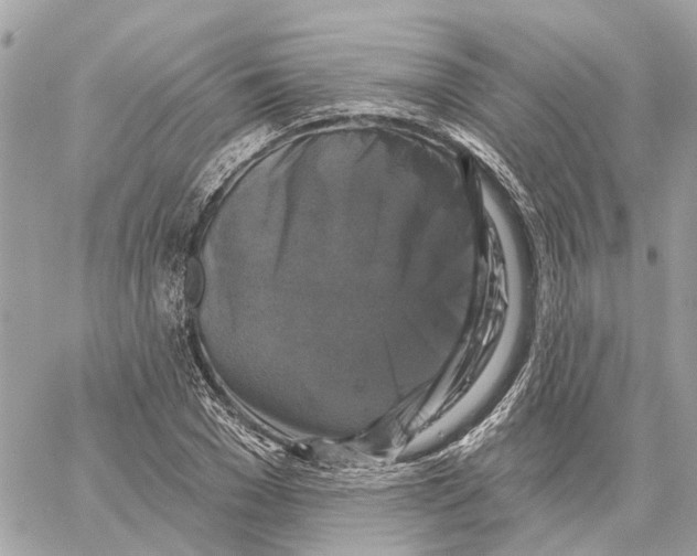 X0000059840977200511181509