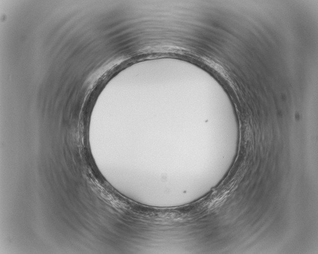 X0000059840979200511181509