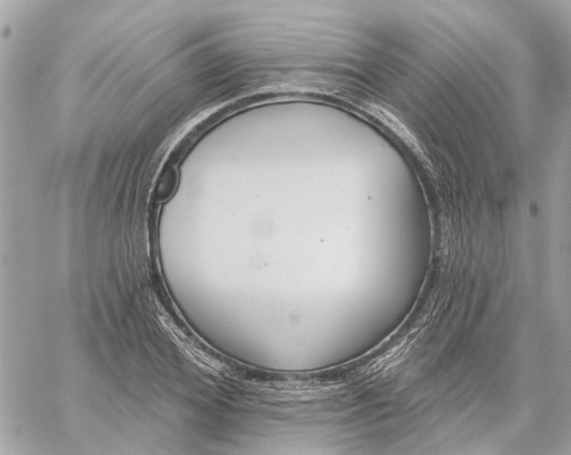 X0000059840980200511181509