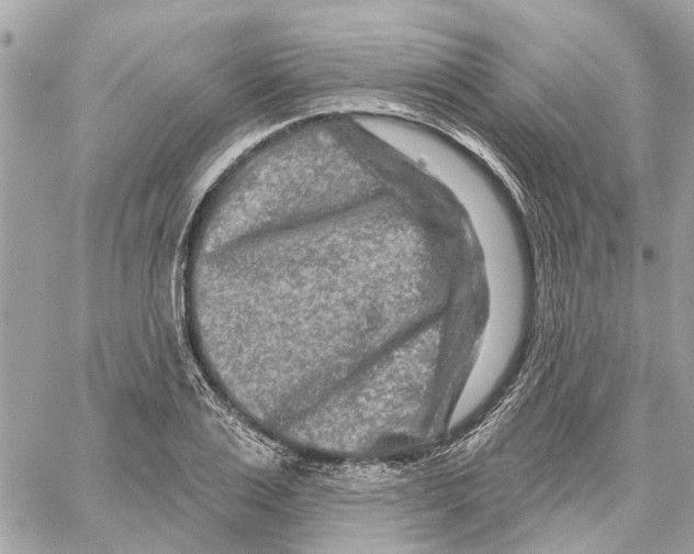 X0000059840983200511181508