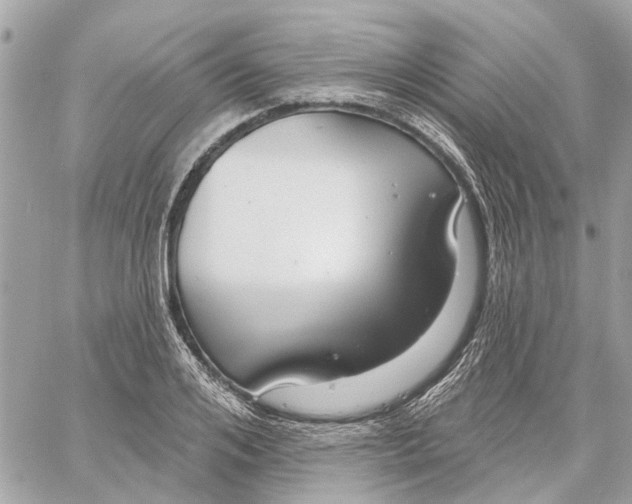 X0000059840984200511181508