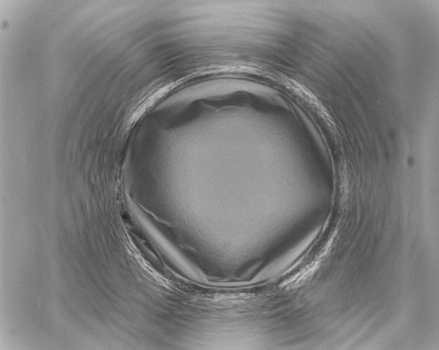 X0000059840985200511181508