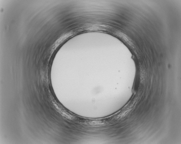 X0000059840986200511181508