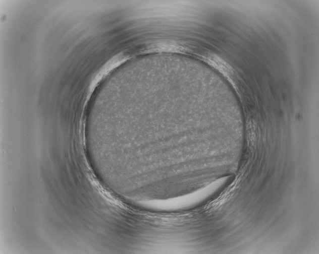 X0000059840987200511181508