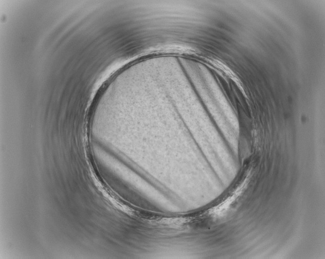 X0000059840989200511181508