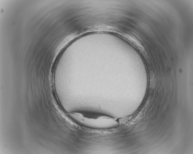 X0000059840990200511181508